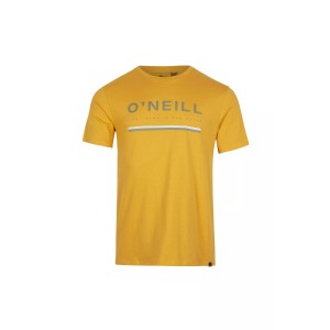 Pánske tričko s krátkym rukávom | ARROWHEAD T-SHIRT O'Neill