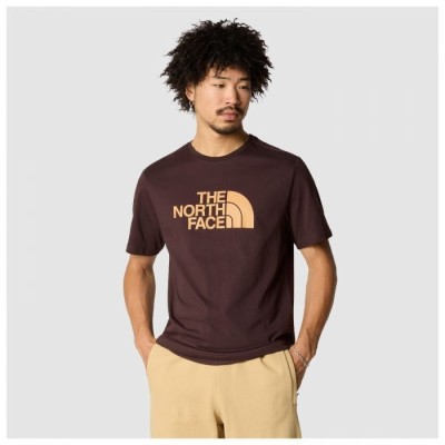 Hnedé tričko The North Face s potlačou spredu